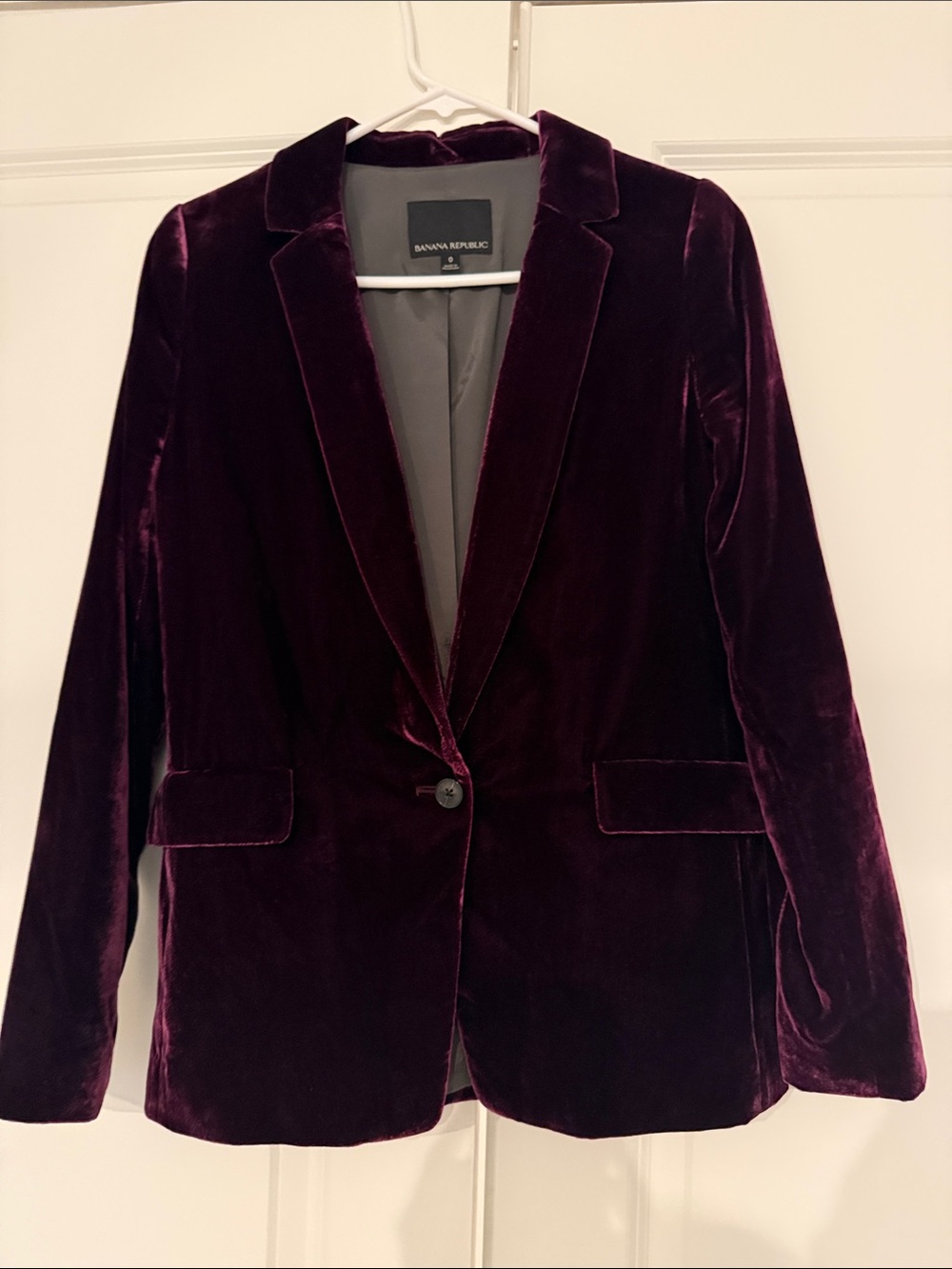 Banana Republic Velvet Blazer - Plum